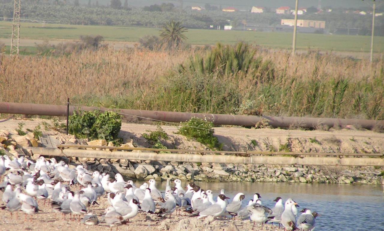 Jordan Valley Birding Lodge Kefar Ruppin Exterior foto